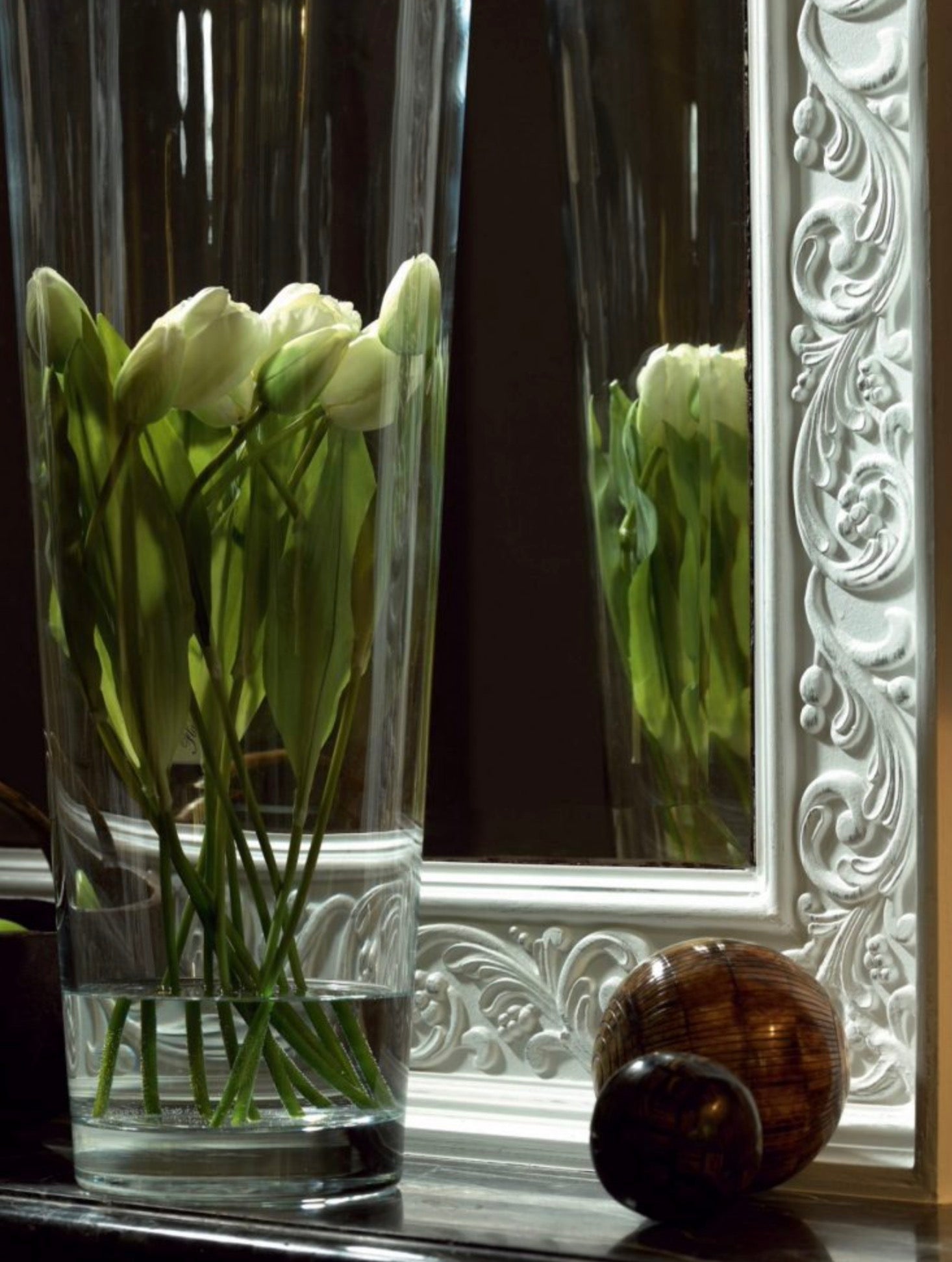 Ceiling Coving - Z11 ARSTYL