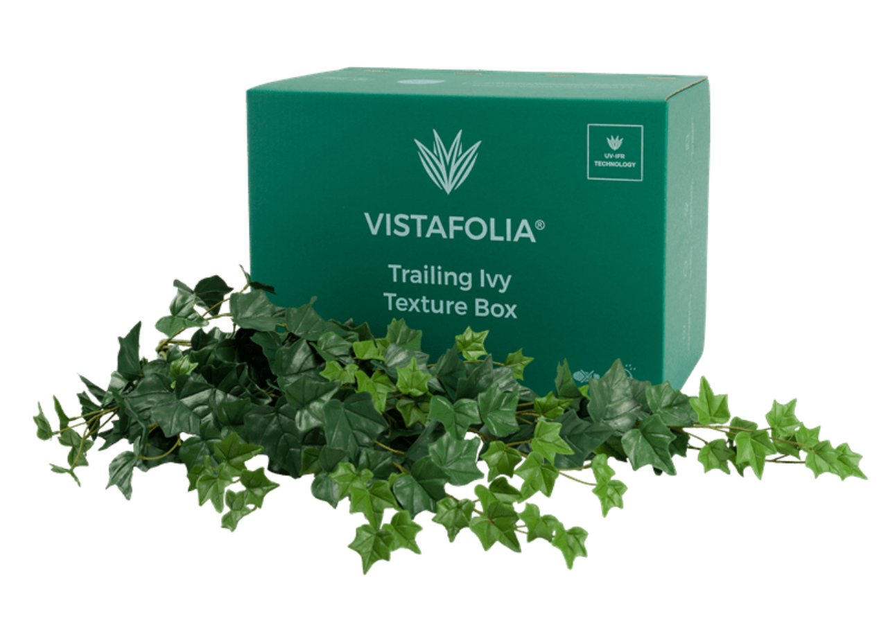 Trailing Ivy Texture Box Range | Vistafolia