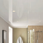 Ceiling Cladding - Single White Gloss Plastic