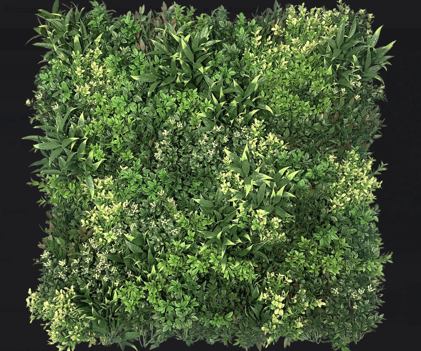 Essence Panel | Vistafolia