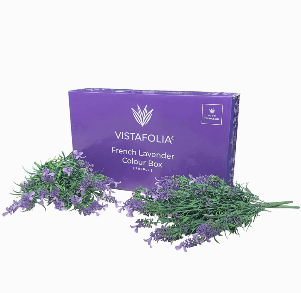 Purple French Lavender Colour Box Range | Vistafolia