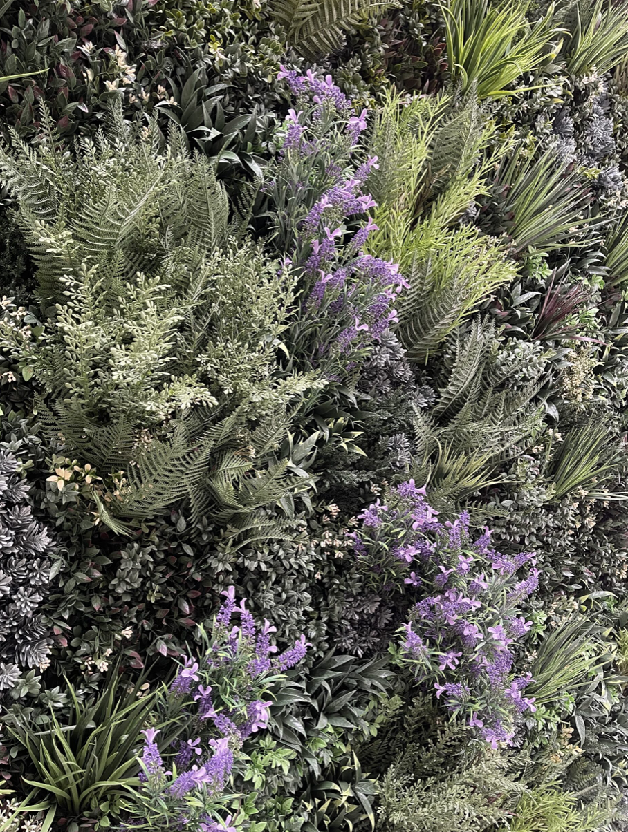 Purple French Lavender Colour Box Range | Vistafolia