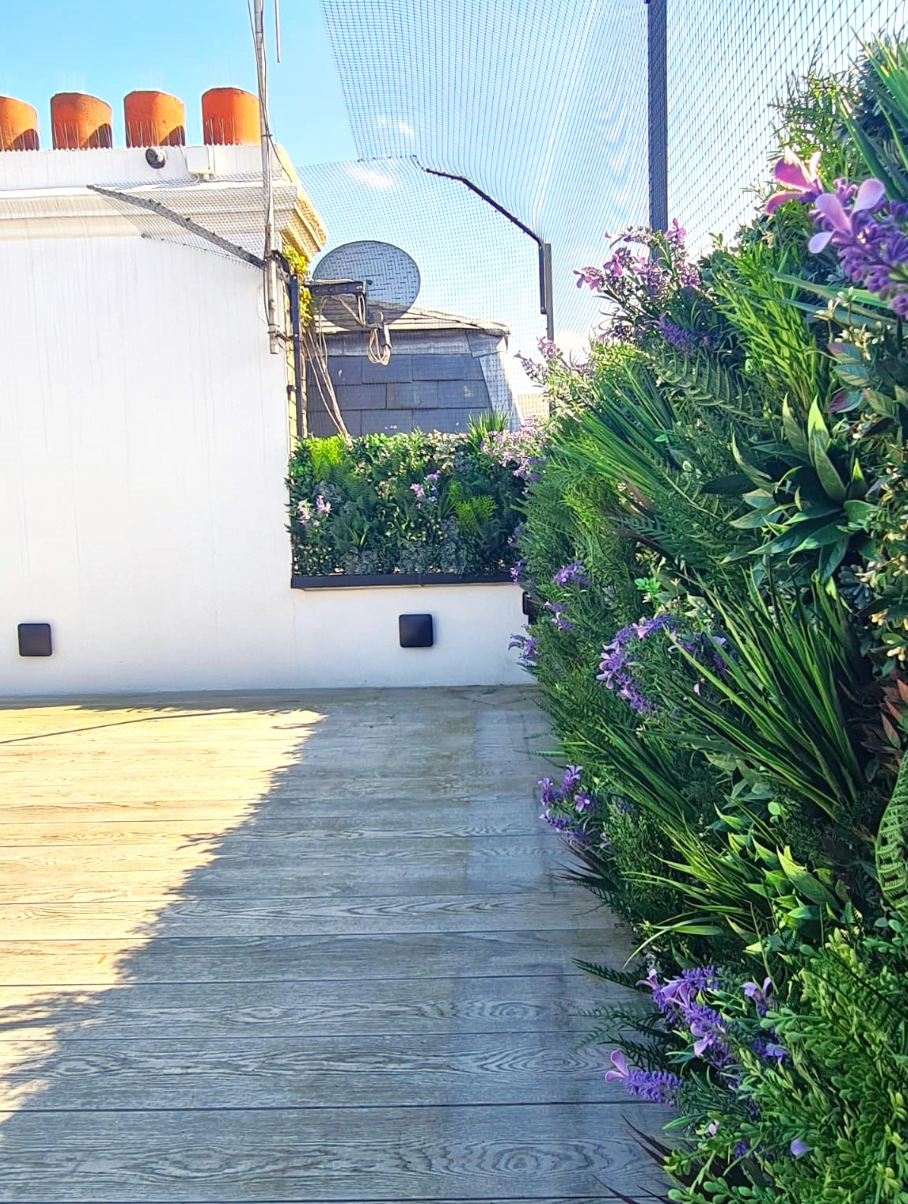 Purple French Lavender Colour Box Range | Vistafolia