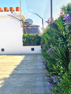 Purple French Lavender Colour Box Range | Vistafolia