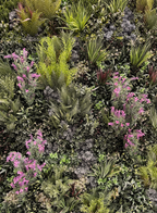 Vistafolia Colour Box Range - Pink French Lavender