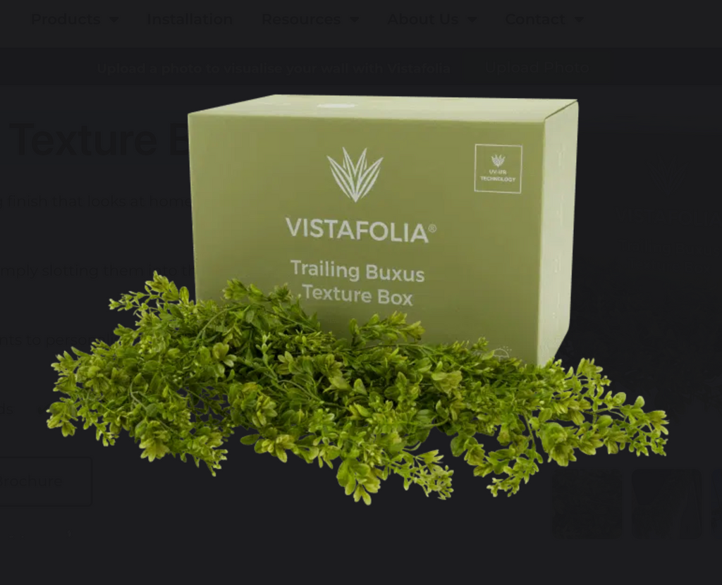 Trailing Buxus Texture Box | Vistafolia