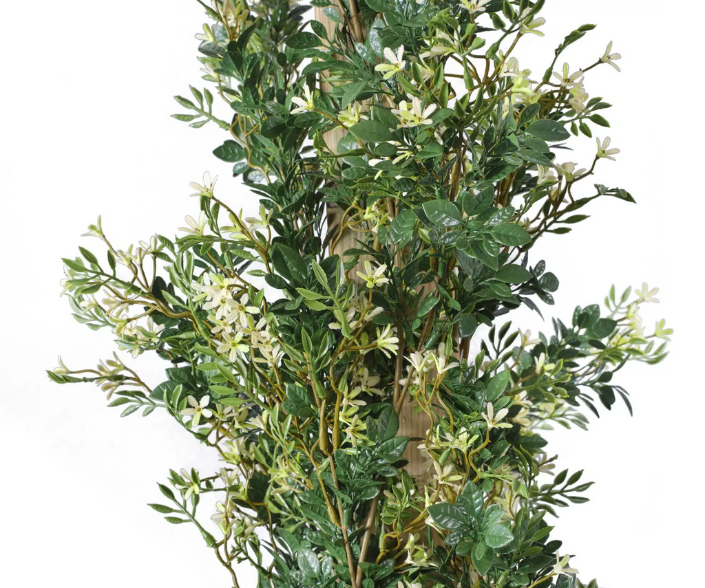 Jasmine Trailer Texture Box | Vistafolia