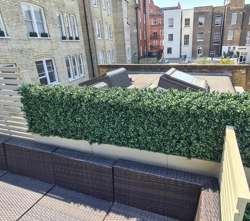 Luxury Boxwood Hedge | Vistafolia