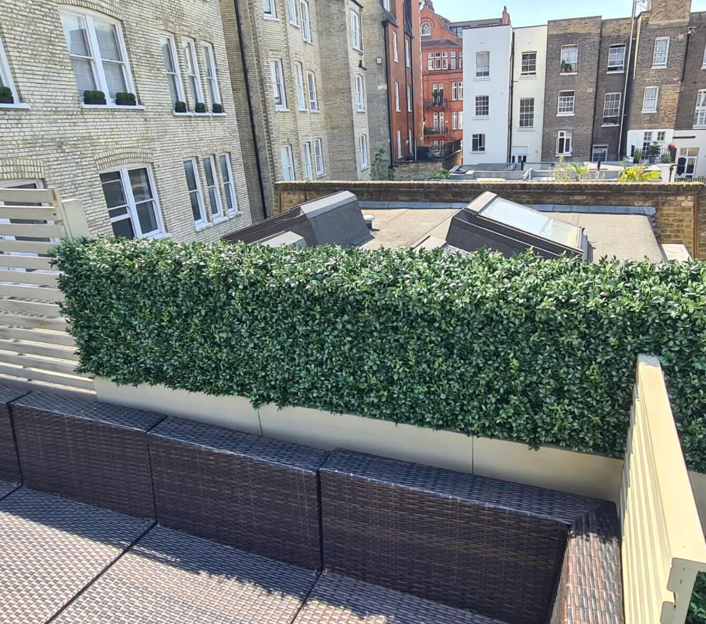 Luxury Boxwood Hedge | Vistafolia