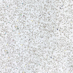 Decorwall Elite Range - White Sparkle