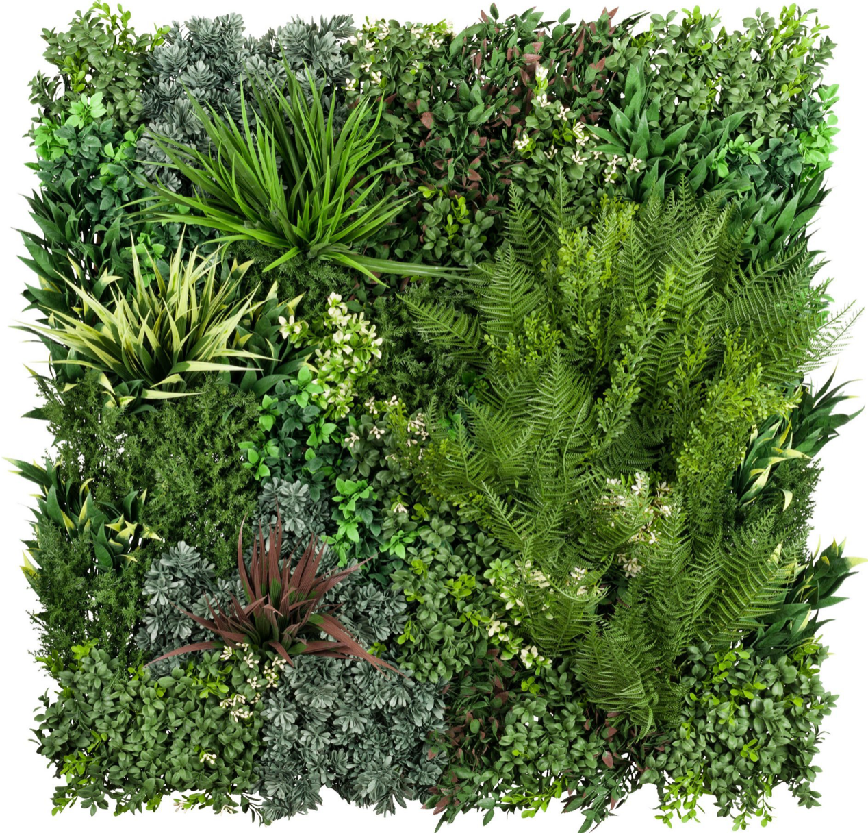 Signature Panel | Vistafolia