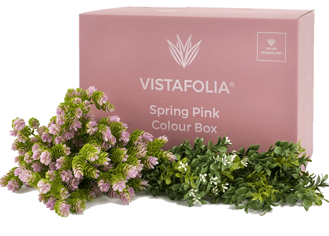 Vistafolia Colour Box Range - Spring Pink