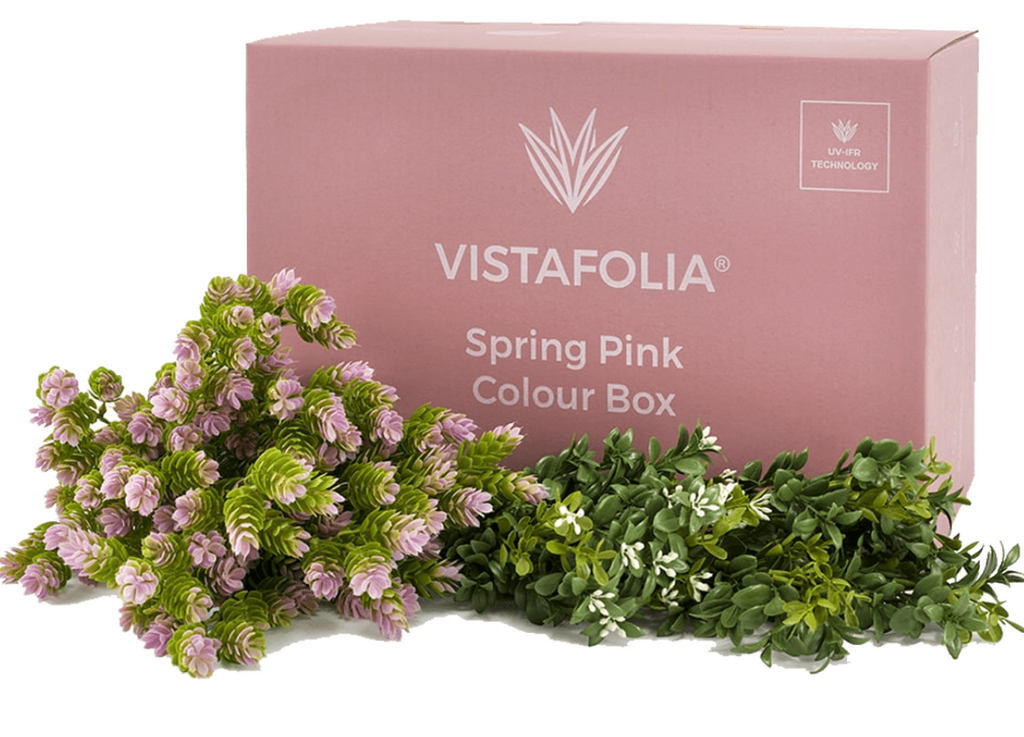 Spring Pink Colour Box Range | Vistafolia