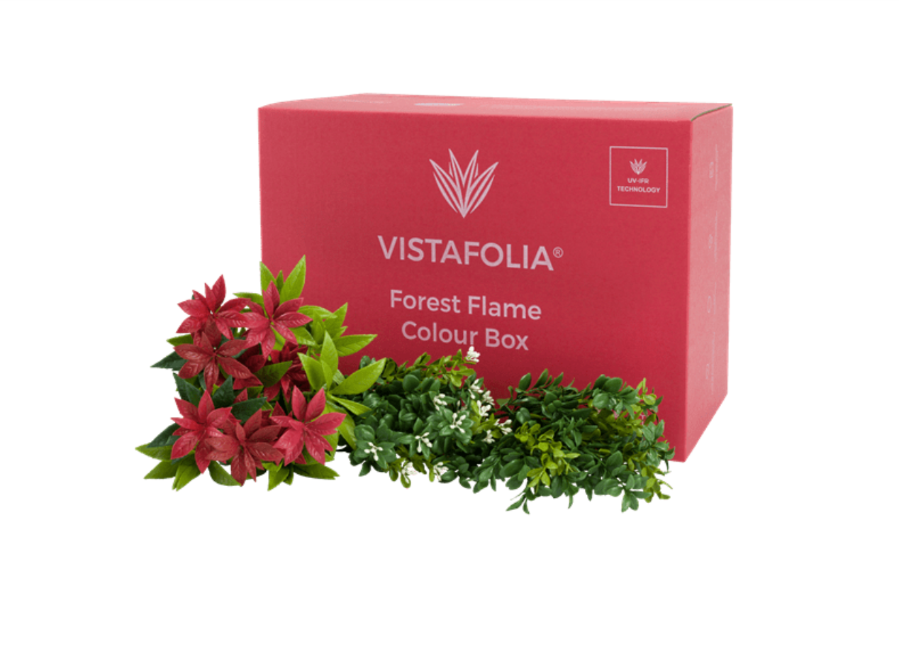 Vistafolia Colour Box Range - Forest Flame