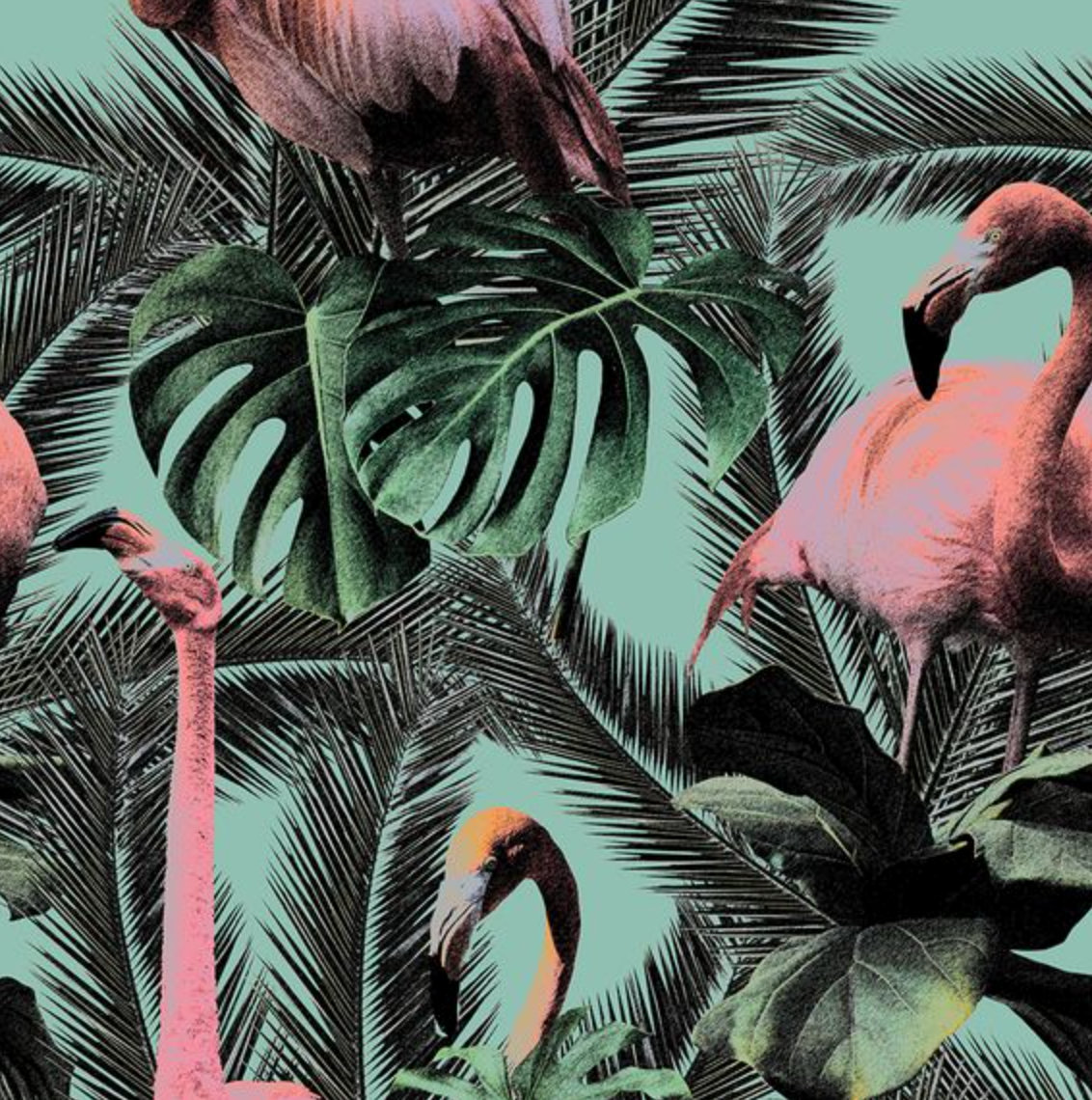 Showerwall Acrylic Prints & Images Collection - Flamingo