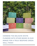 Delicate White Colour Box Range | Vistafolia
