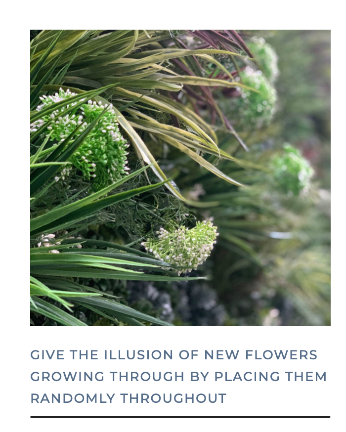 Forest Flame Colour Box Range | Vistafolia