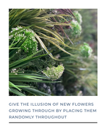 Delicate White Colour Box Range | Vistafolia