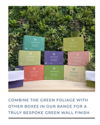 Trailing Ivy Texture Box Range | Vistafolia