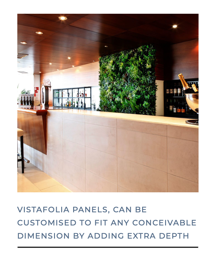 Vistafolia Texture Box Range - Trailing Ivy