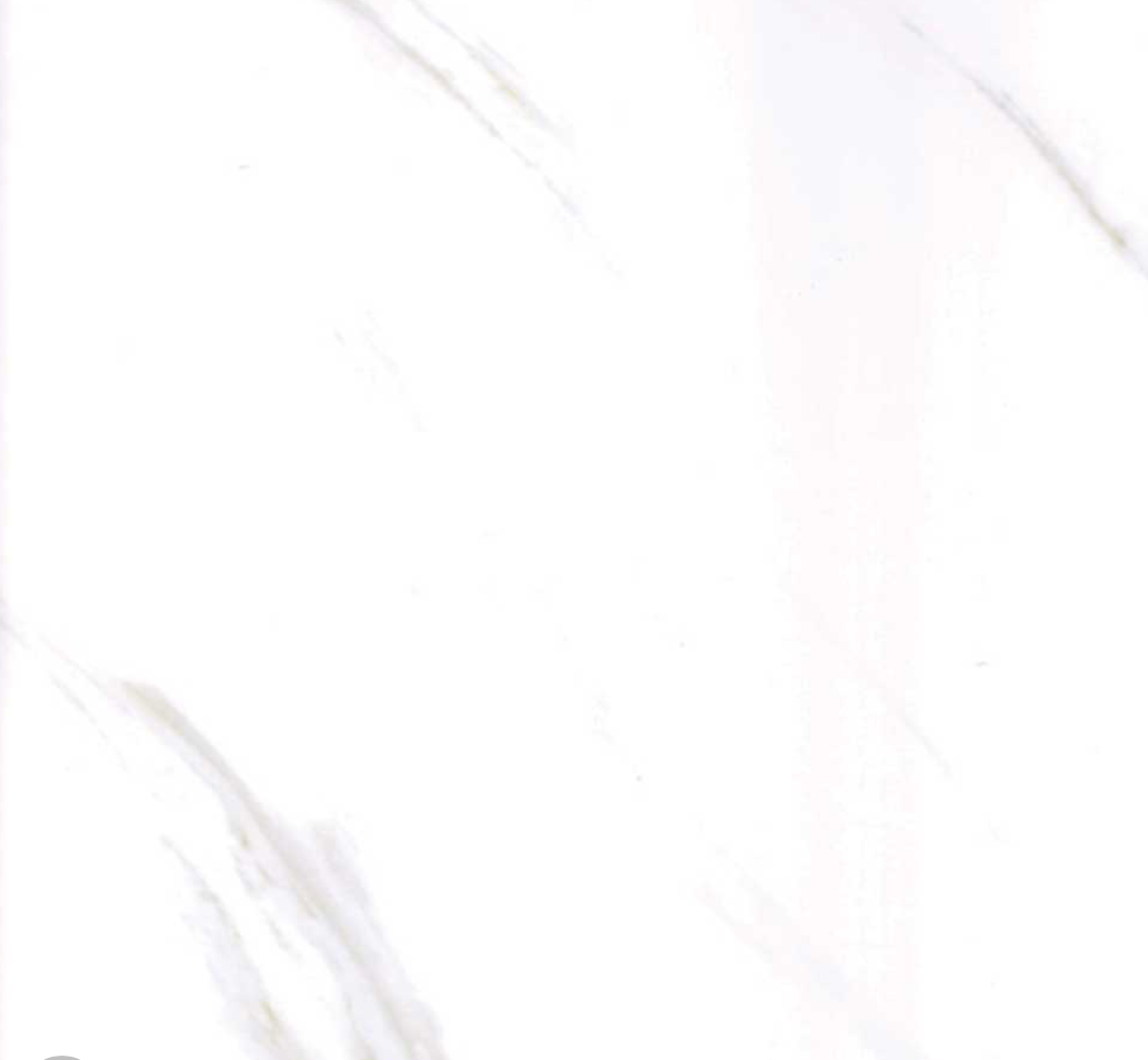 Maxi Shower Panel - Carrera White GLOSS|MATT