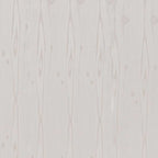 Decorwall Elite Range - Silver Birch